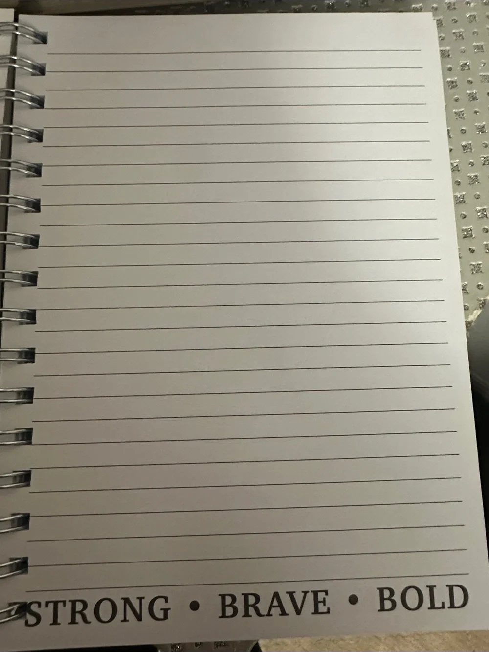 Posh + Pop Bow Top Silver Ballpoint Pen and Journal